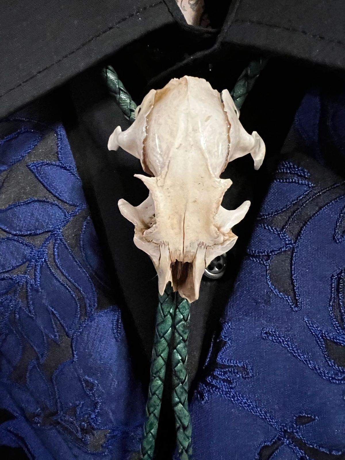 Victorian Gothic bolo tie with real skull, can be worn as Steampunk 